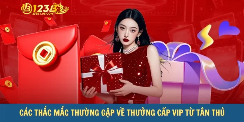 Các thắc mắc thường gặp về thưởng cấp VIP từ tân thủ