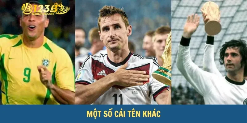 Một số cái tên khác